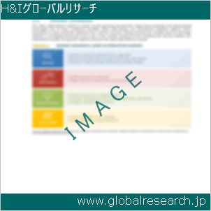 グローバルリサーチ調査レポートのイメージ